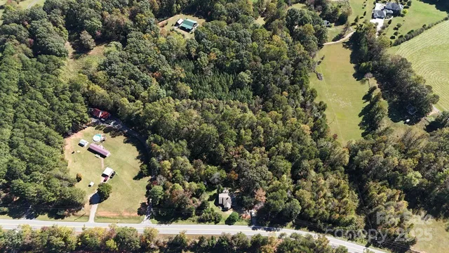 a view of a yard with large trees