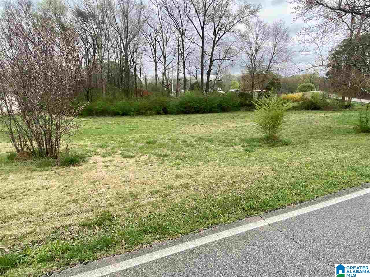 1605 Brookside Road Mount Olive, AL 35117 - Photo 5 of 12