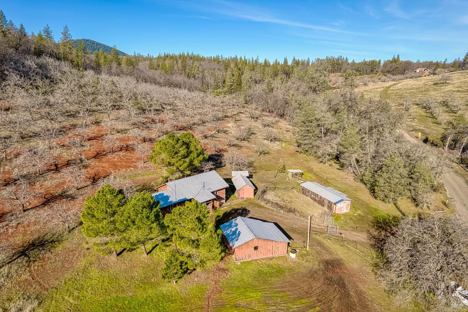 11415 Seigler Springs Road Middletown, CA 95461 - Photo 35 of 52 an aerial view of a house with a yard