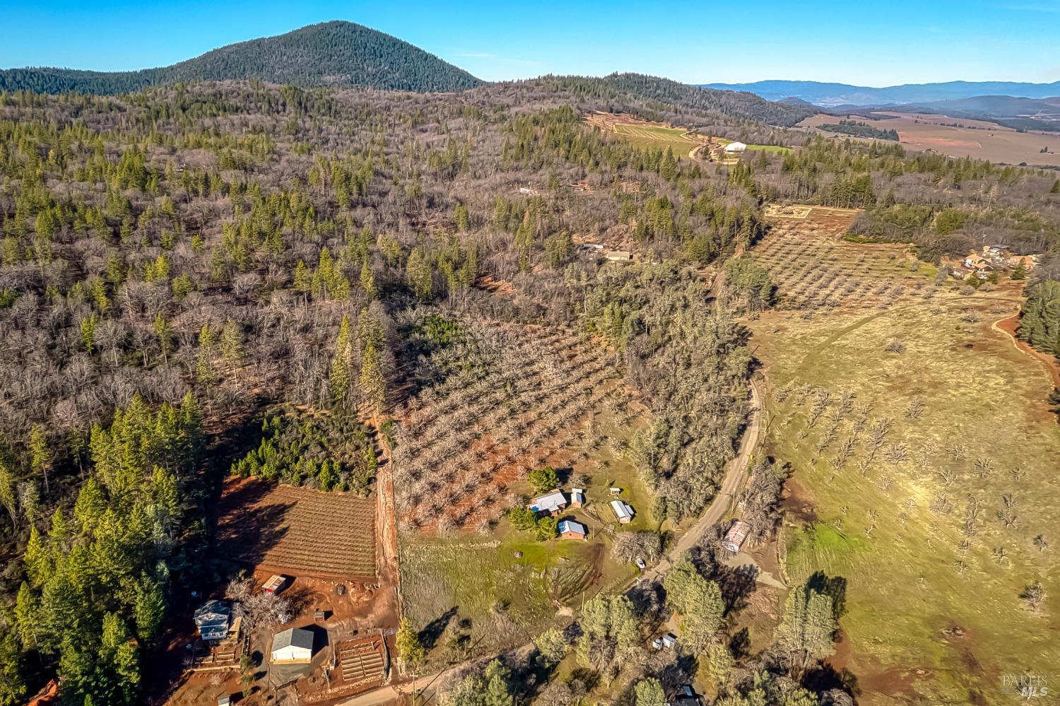 11415 Seigler Springs Road Middletown, CA 95461 - Photo 41 of 52 a view of a dry yard with mountains in the background