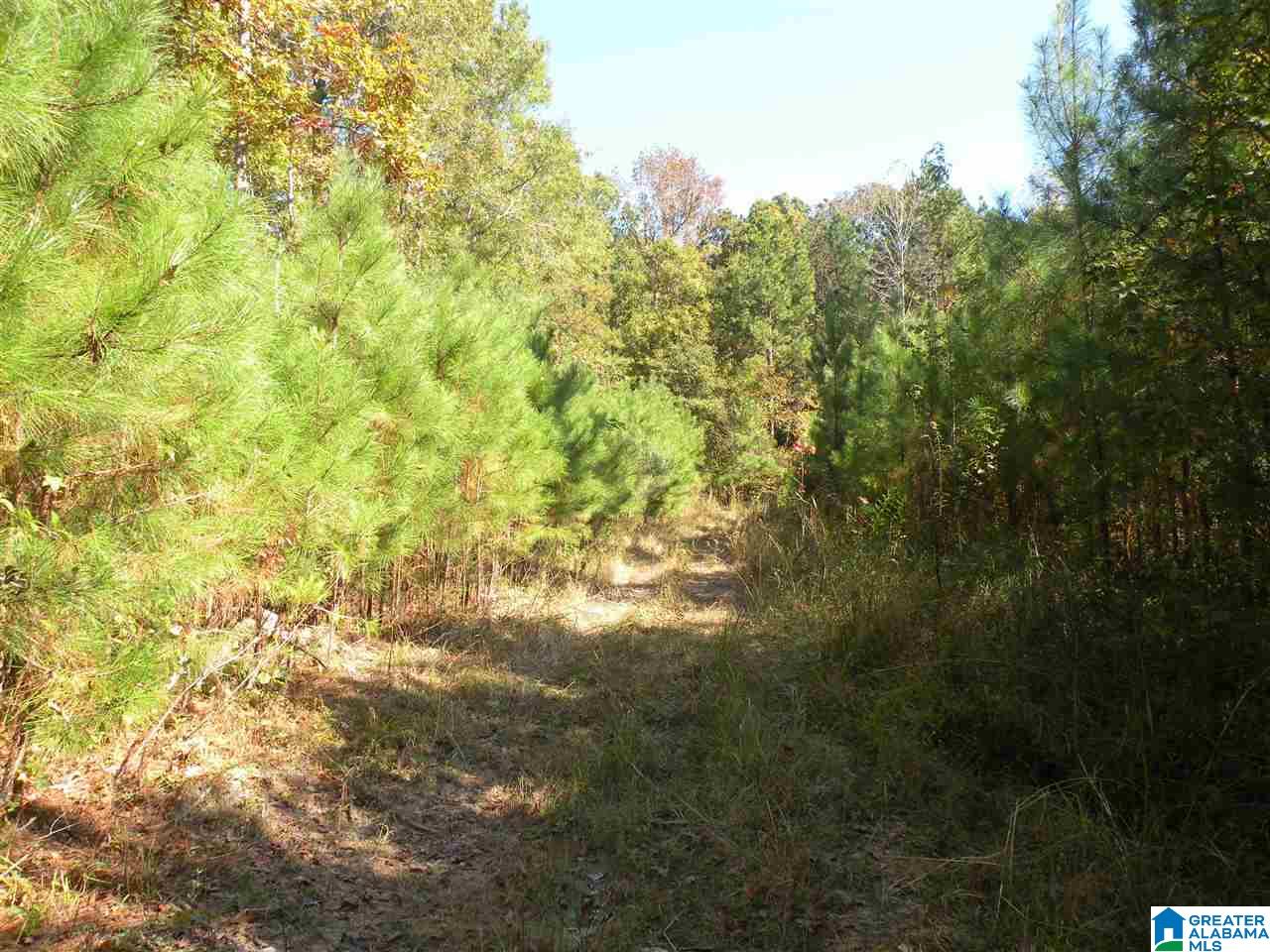 163 Thurman Road Talladega, AL 35160 - Photo 16 of 22