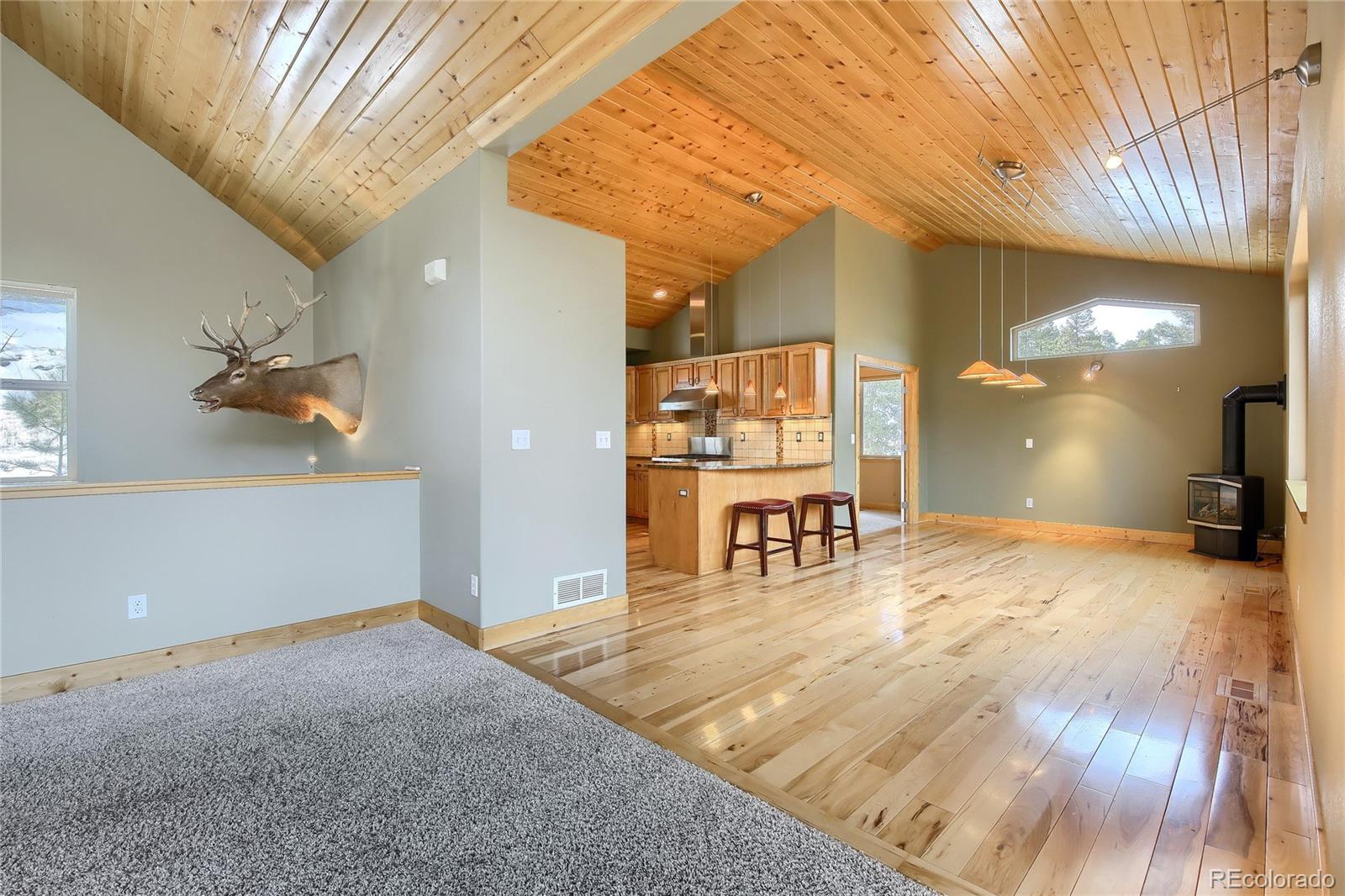 13755 Shiloh Drive Conifer, CO 80433 - Photo 17 of 39