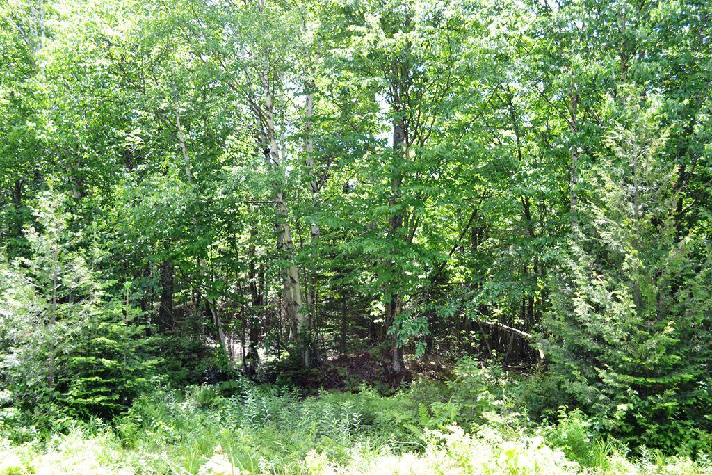 0 Ermine Road Sandy River Plt, ME 04970 - Photo 6 of 14 Lot
