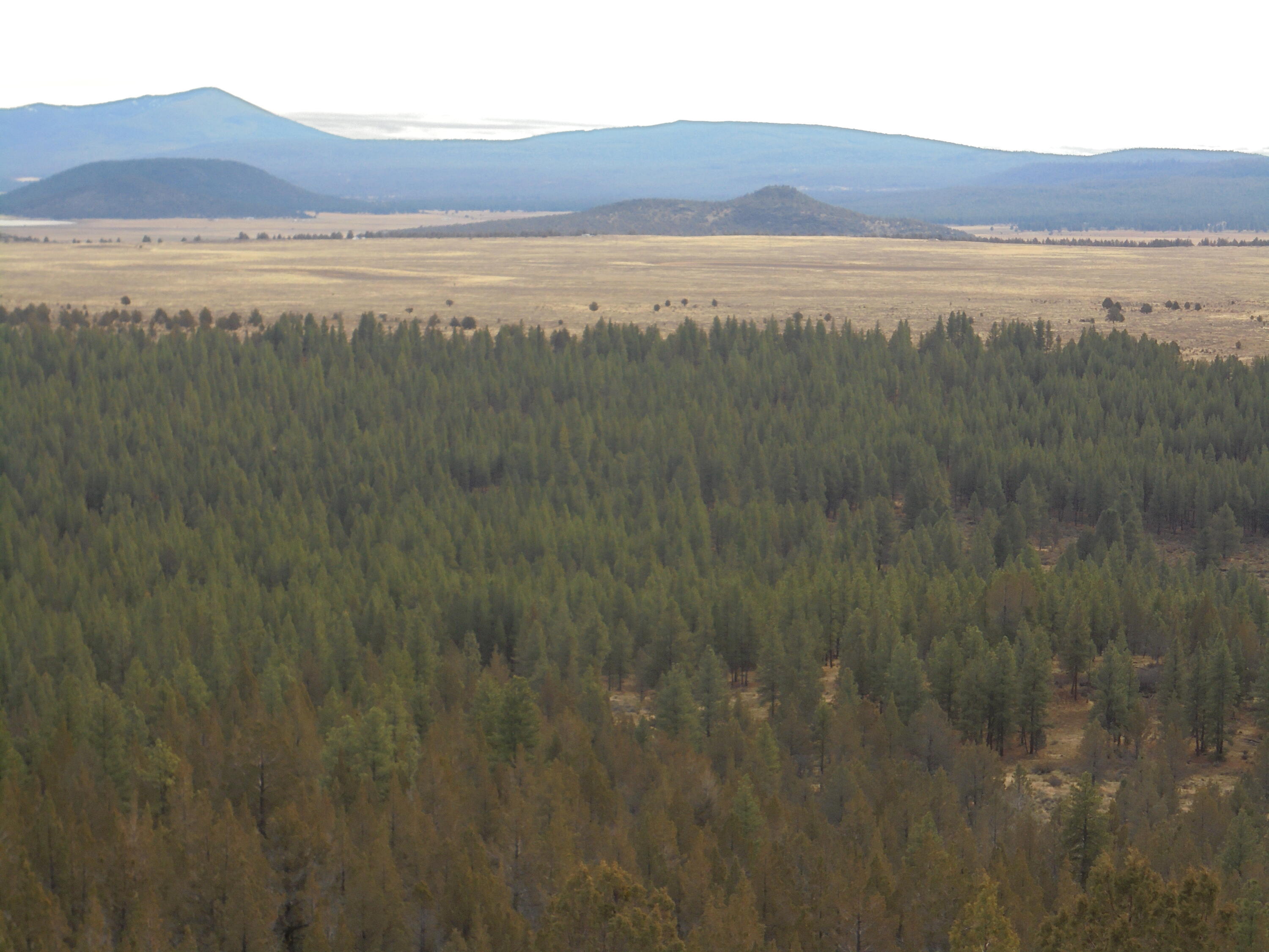 0 Tableland Road, Unit 3400 Chiloquin, OR 97624 - Photo 13 of 22 DSC00214