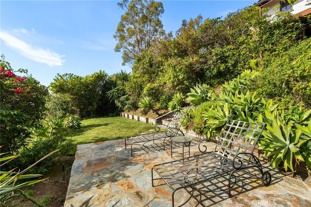 a view of a yard with flower plants