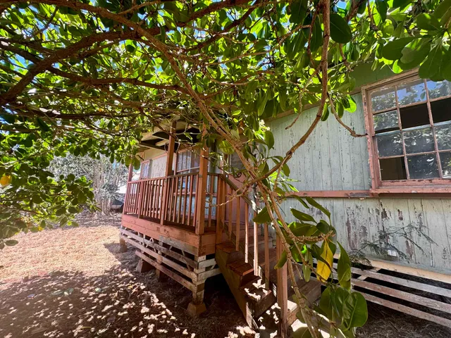 a view of a house with a tree