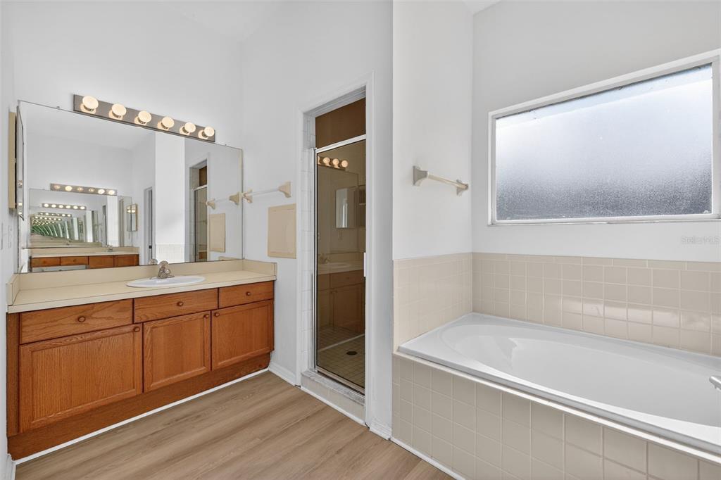 28244 Brokenmead Path Wesley Chapel, FL 33543 - Photo 23 of 37 a bathroom with a tub sink and mirror