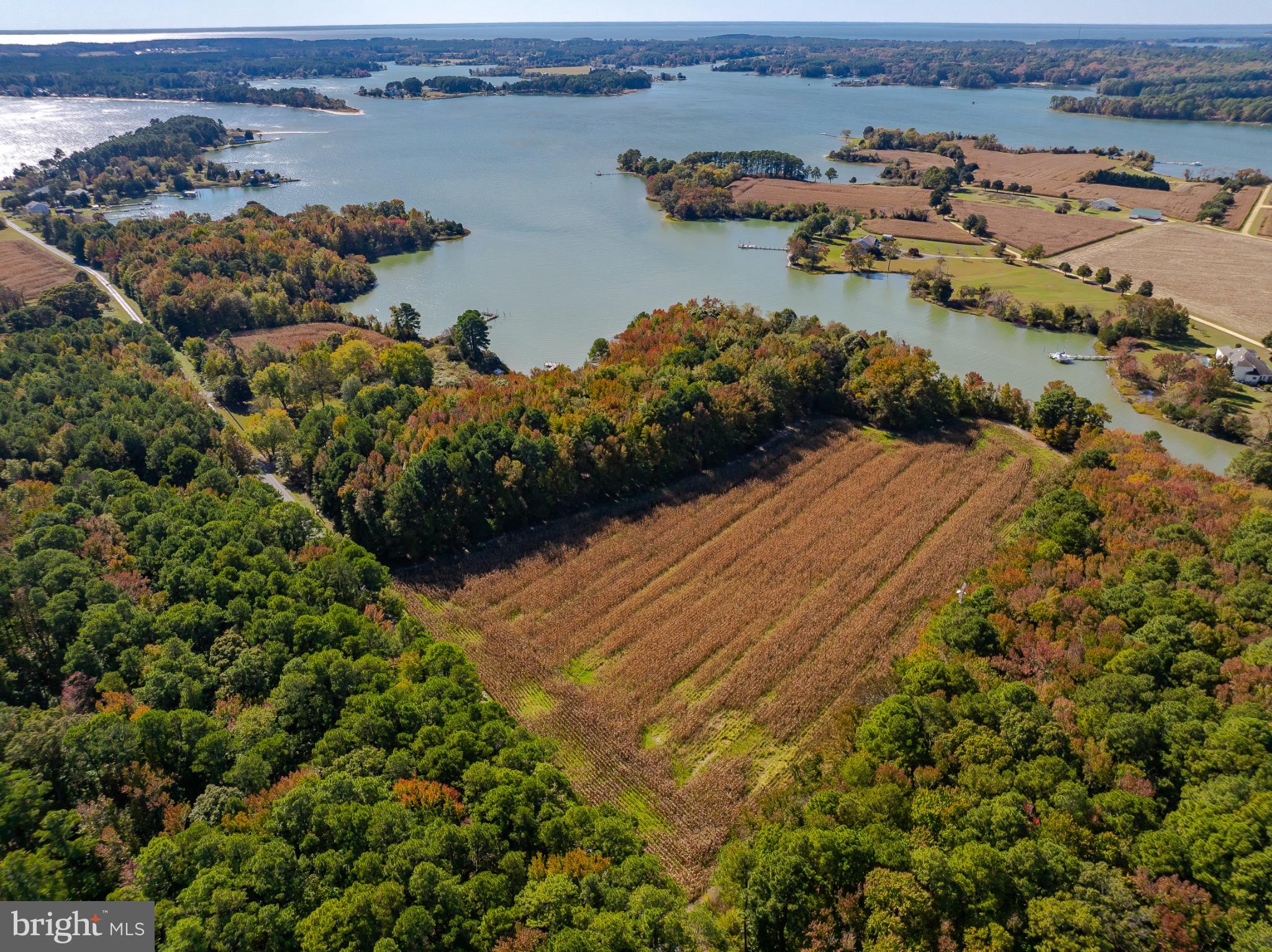50645 Holly Point Road Dameron, MD 20628 - Photo 62 of 99