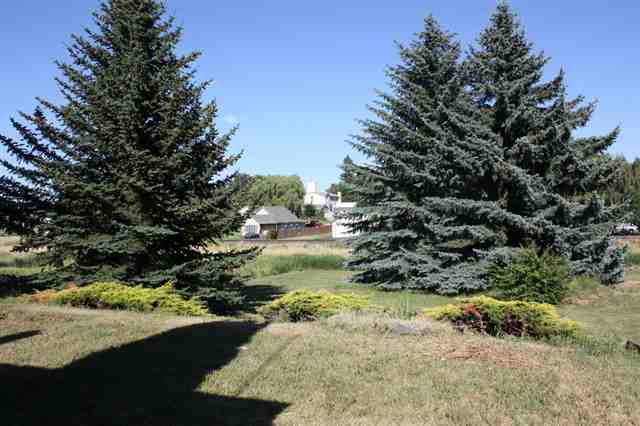 110 North Main Street Spangle, WA 99031 - Photo 8 of 8 Gallery Image 8