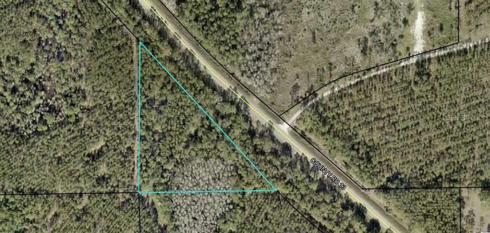 1925 County Road 13 Bunnell, FL 32110 - Photo 2 of 8 a view of a forest with a tree