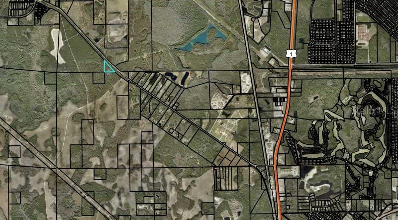 1925 County Road 13 Bunnell, FL 32110 - Photo 4 of 8 a picture of a tree