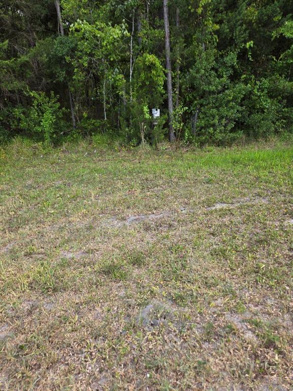 1925 County Road 13 Bunnell, FL 32110 - Photo 6 of 8 a view of outdoor space and green space
