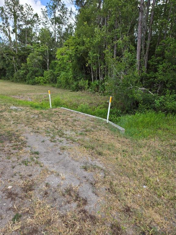 1925 County Road 13 Bunnell, FL 32110 - Photo 7 of 8 a backyard of a house with lots of green space