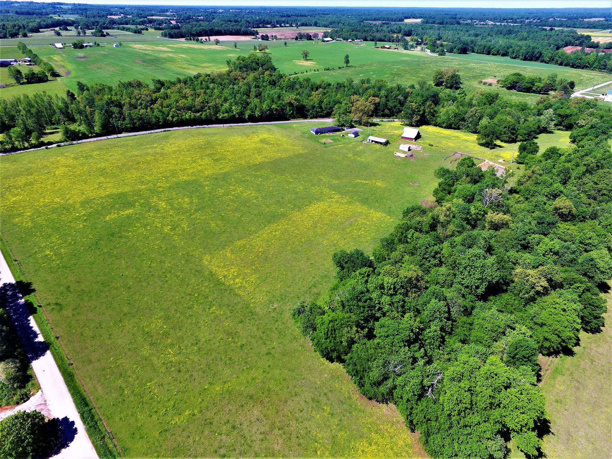 5582 Shady Grove Road Morrison, TN 37357 - Photo 5 of 11 a view of a field with a tree