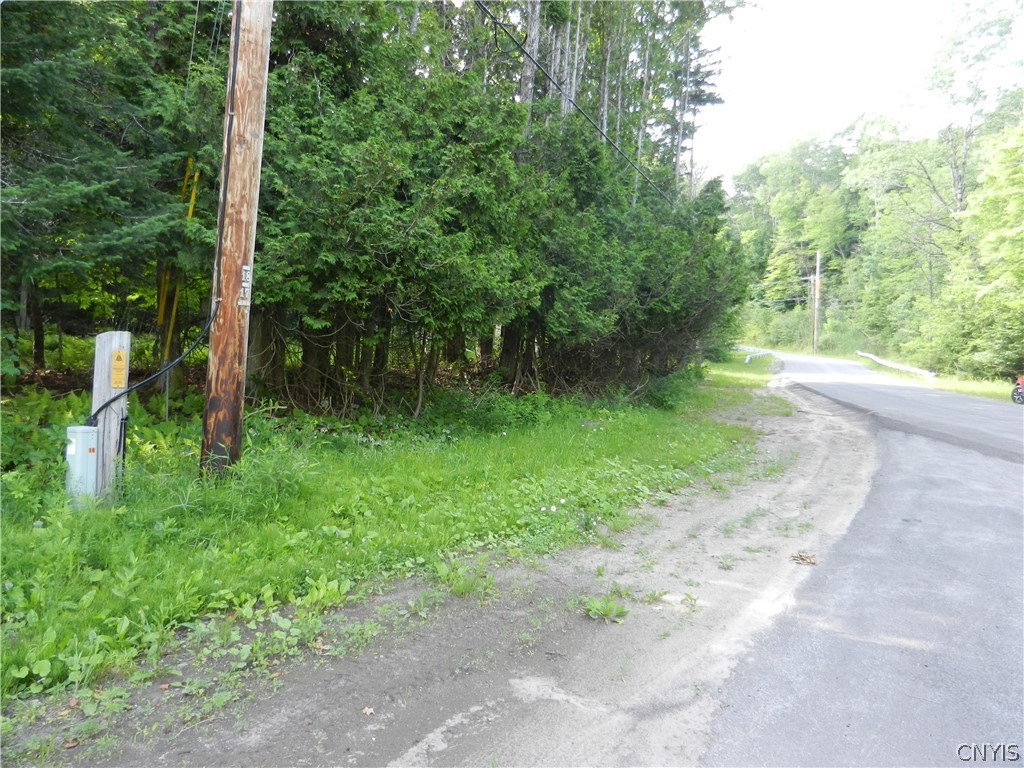 0 Bingham Mills Road Stratford, NY 13470 - Photo 1 of 12