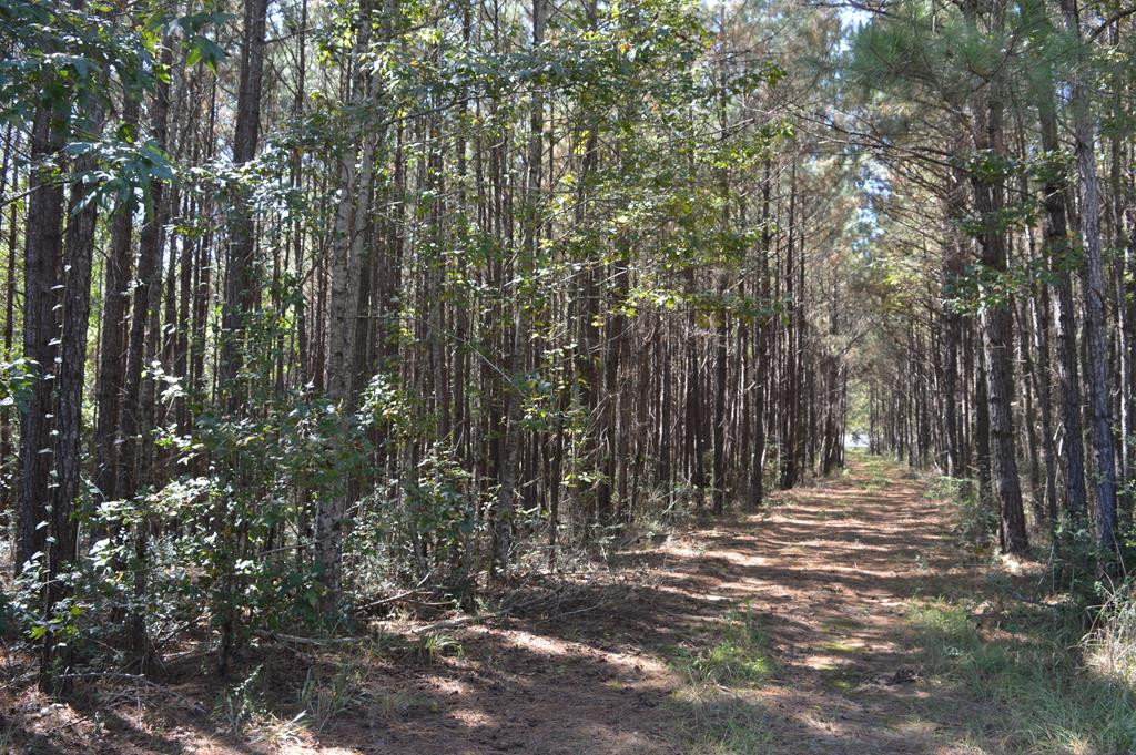 ... Friendship Road McComb, MS 39648 - Photo 1 of 1 Main View