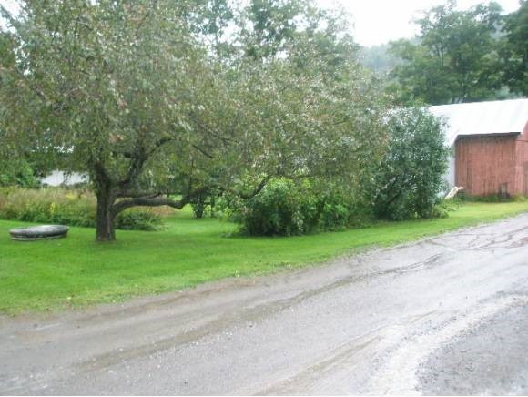 3941 North Randolph Road Randolph, VT 05061 - Photo 8 of 27