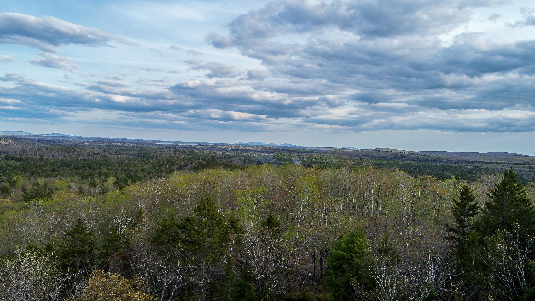 1509 Otis Road Ellsworth, ME 04605 - Photo 5 of 26 DJI_0021-2