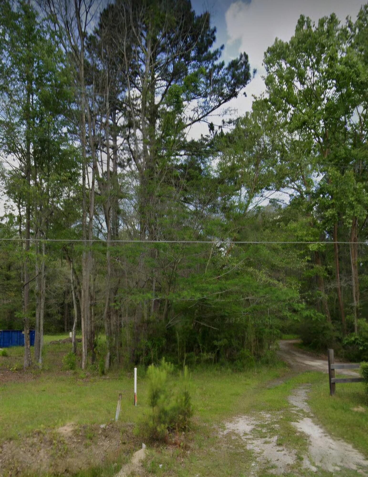 0 Haven Road Ridgeville, SC 29472 - Photo 3 of 3 1000043974