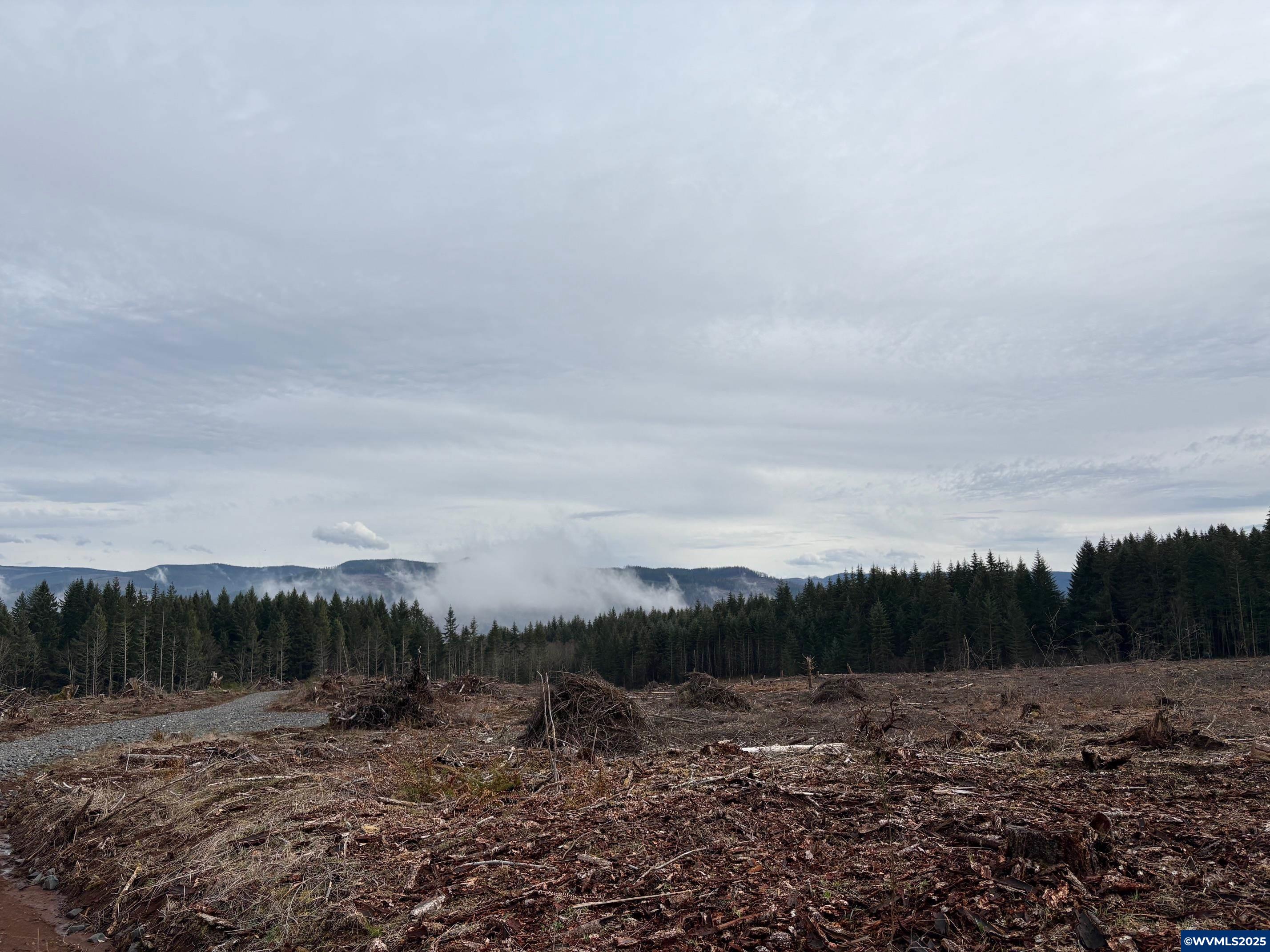0 South Hardy Road Molalla, OR 97038 - Photo 7 of 26