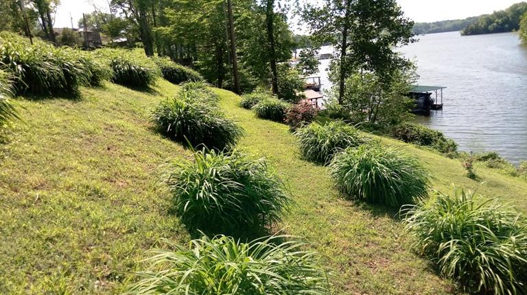 1904 Little Hurricane Road Winchester, TN 37398 - Photo 27 of 30 Gallery Image 27