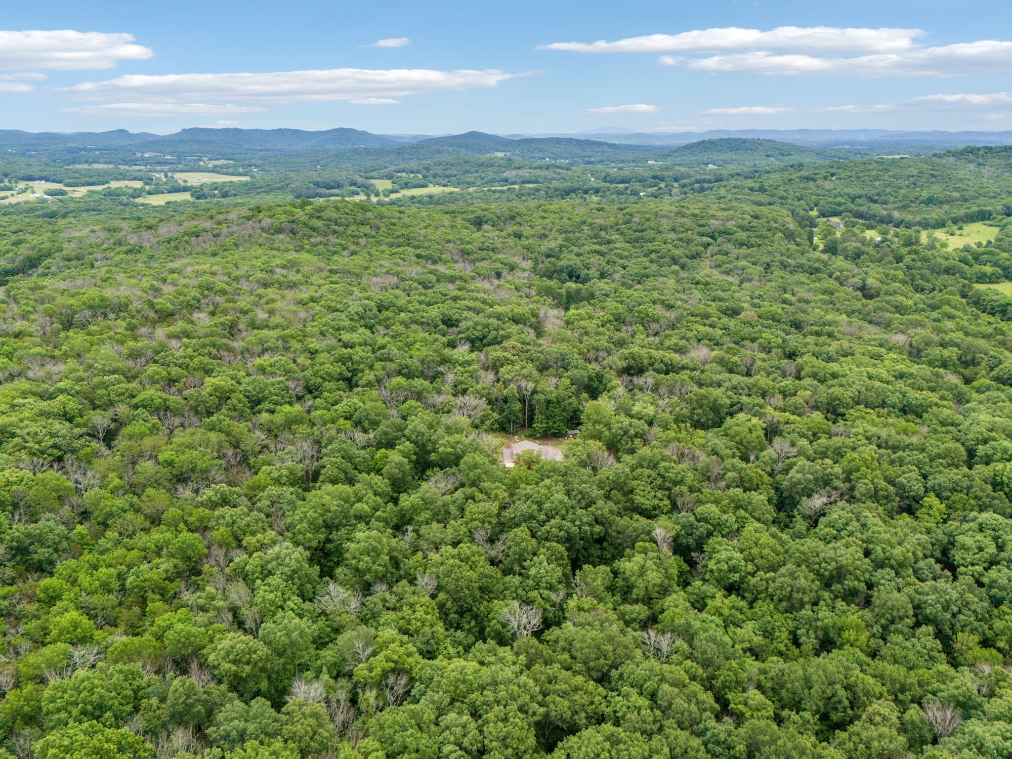 1785 St Johns Road Lascassas, TN 37085 - Photo 45 of 46 a view of a green field with an ocean