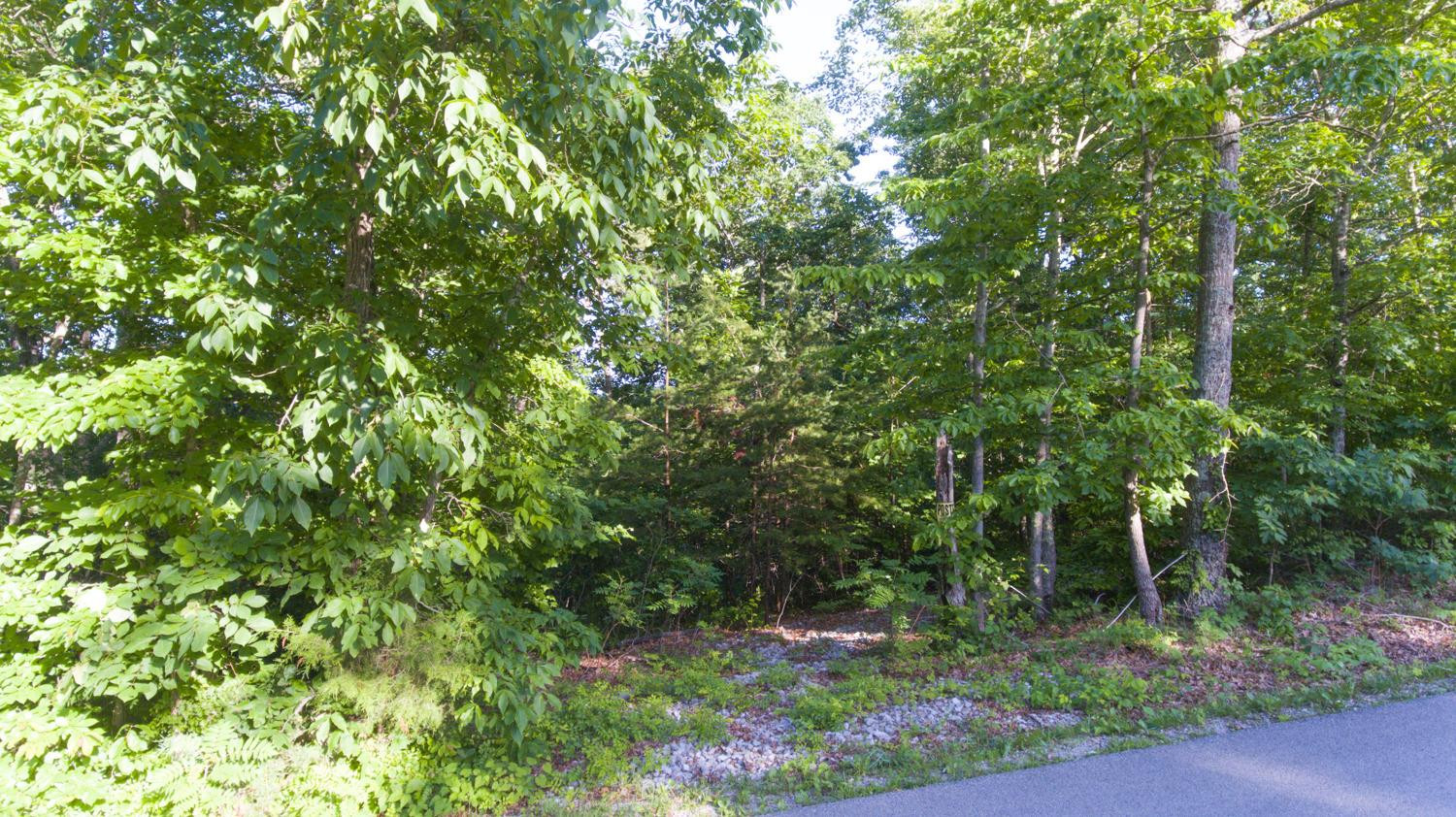 3688 Pine Ridge Road Winchester, KY 40391 - Photo 7 of 16 Photo 7