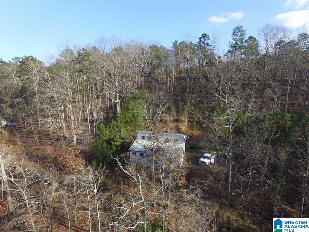 1633 Waldrop Road, Unit A Ashville, AL 35953 - Photo 9 of 14