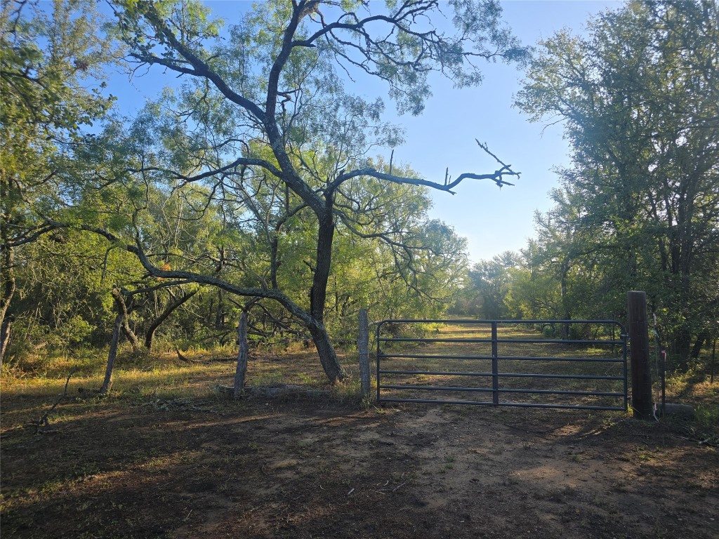 a view of outdoor space and trees