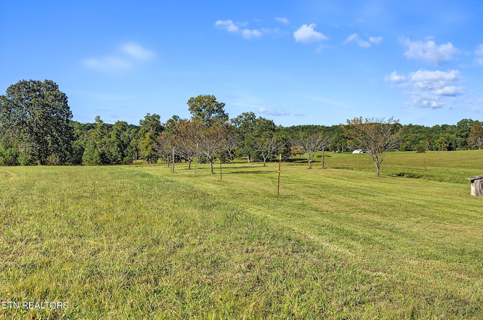 308 Huse Watson Road Oakdale, TN 37829 - Photo 43 of 44 42-web-or-mls-308-huse-watson-rd
