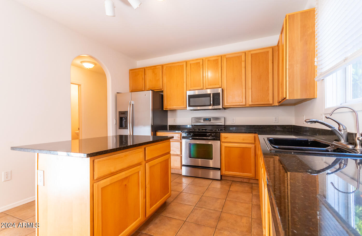 3855 East Gideon Way Gilbert, AZ 85296 - Photo 9 of 40 _MG_1029 (1)