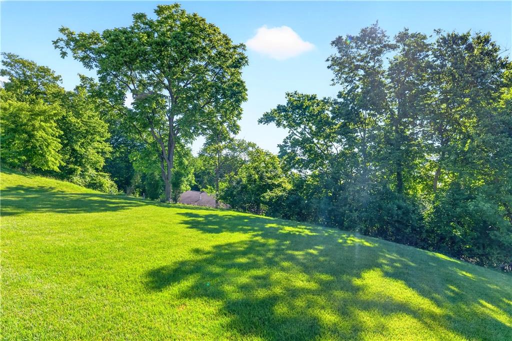 202 Indian Ridge Lane Canonsburg, PA 15317 - Photo 43 of 46 Backyard