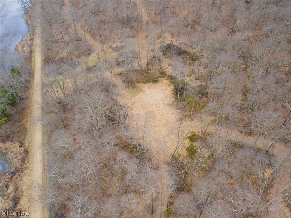 71 Township Road Killbuck, OH 44637 - Photo 10 of 39
