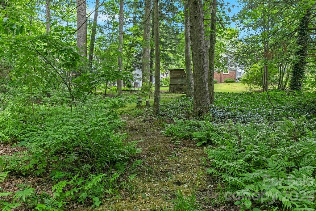 226 Turnpike Road Brevard, NC 28712 - Photo 26 of 42 Gallery Image 26