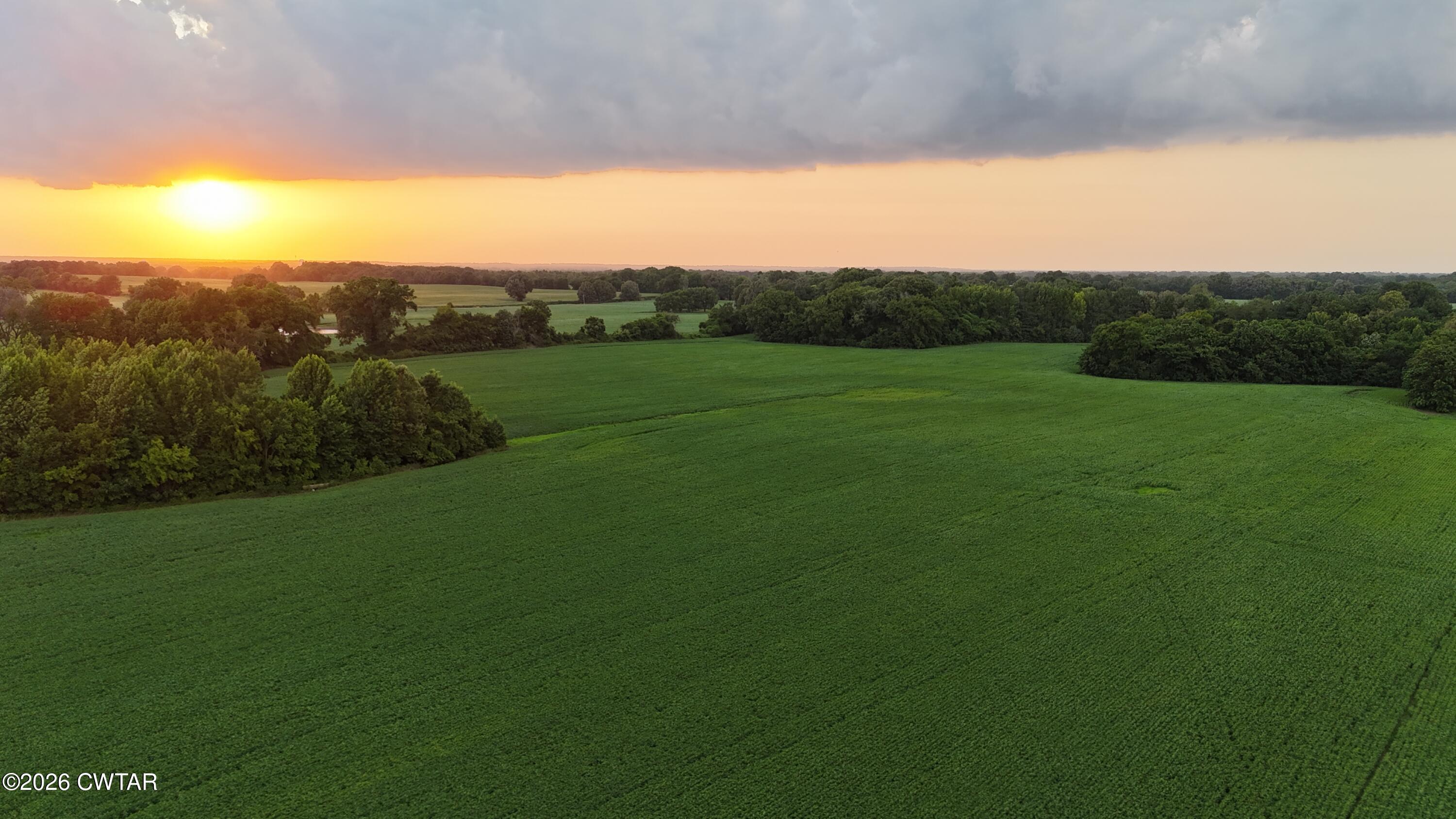 0 Cribbs Road Dyersburg, TN 38024 - Photo 10 of 10 dji_fly_20260701_195936_0944_17829568373