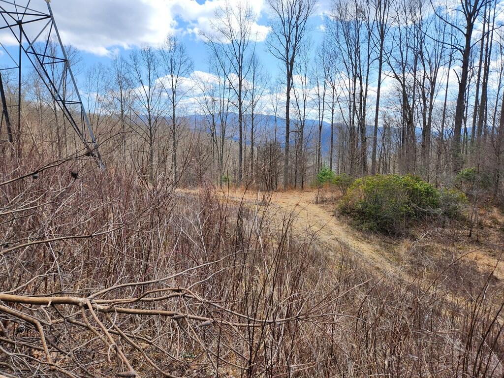 0 Camp Branch Road Topton, NC 28781 - Photo 5 of 41 Gallery Image 5