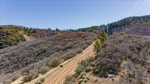 0 St Moritz Place Tehachapi, CA 93561 - Photo 13 of 15 a view of a forest with mountain view
