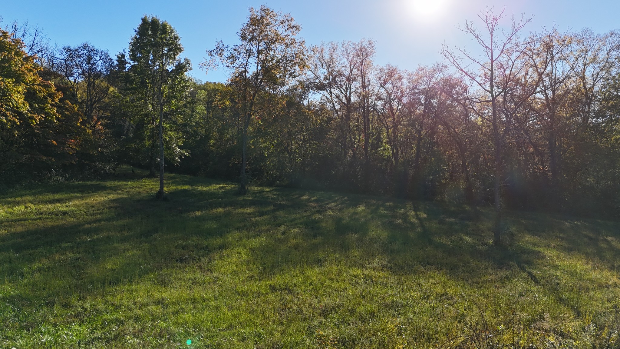 0 Akin Ridge Road Williamsport, TN 38487 - Photo 1 of 25 Gallery Image 1