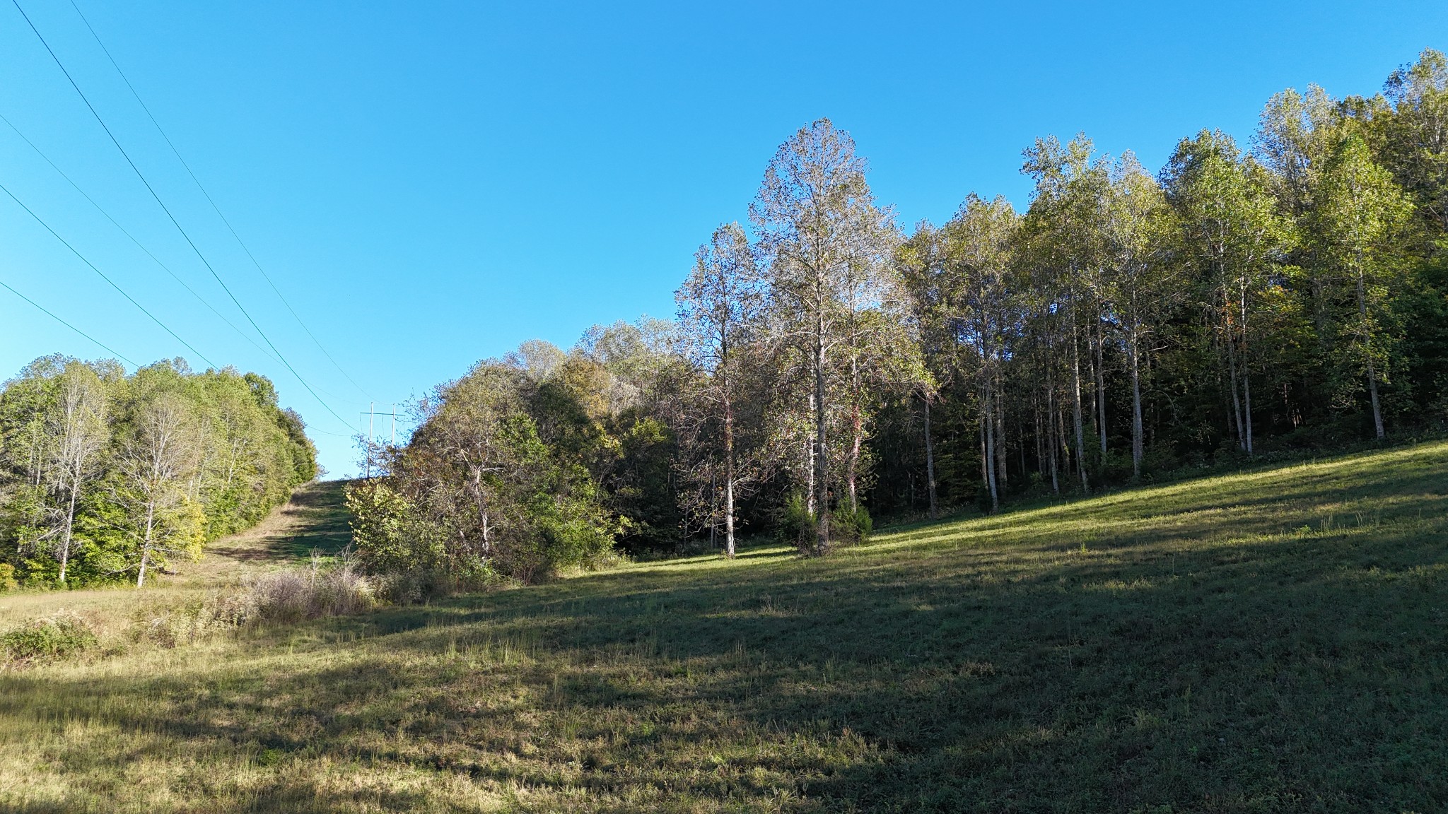 0 Akin Ridge Road Williamsport, TN 38487 - Photo 11 of 25 Gallery Image 11