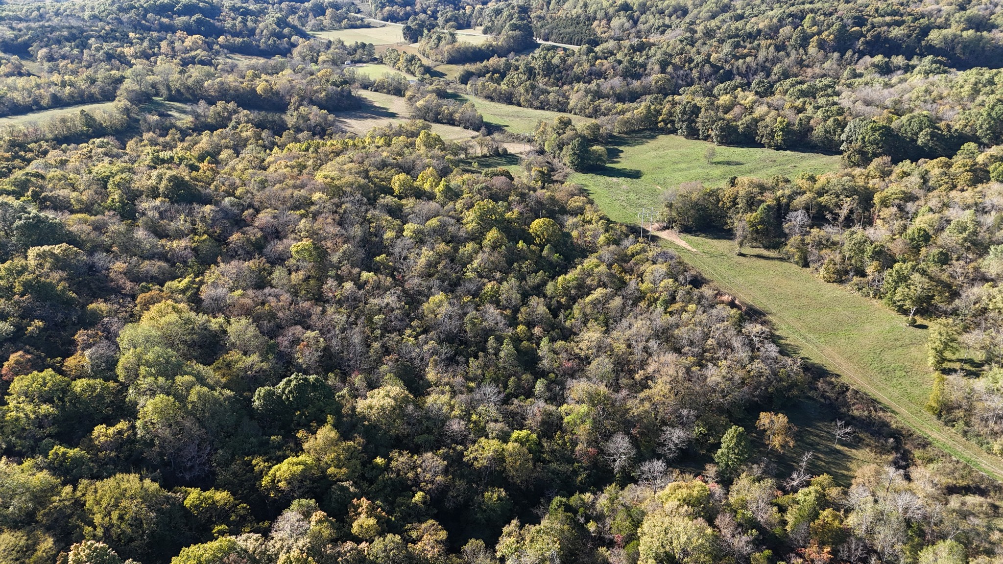 0 Akin Ridge Road Williamsport, TN 38487 - Photo 14 of 25 Gallery Image 14