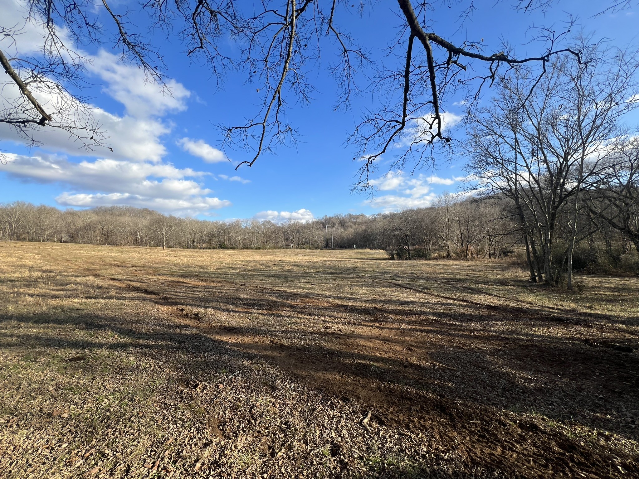 0 Akin Ridge Road Williamsport, TN 38487 - Photo 19 of 25 Gallery Image 19