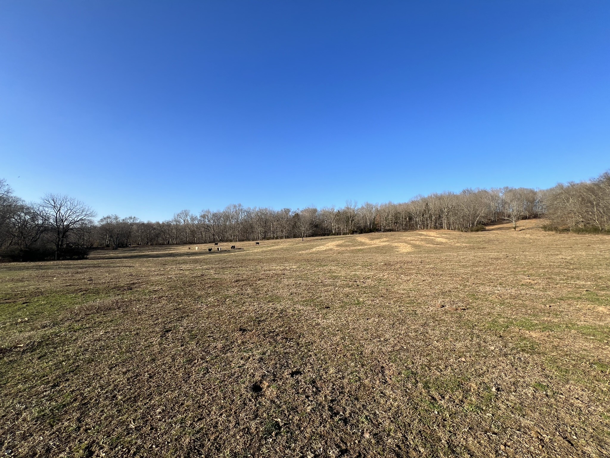 0 Akin Ridge Road Williamsport, TN 38487 - Photo 20 of 25 Gallery Image 20