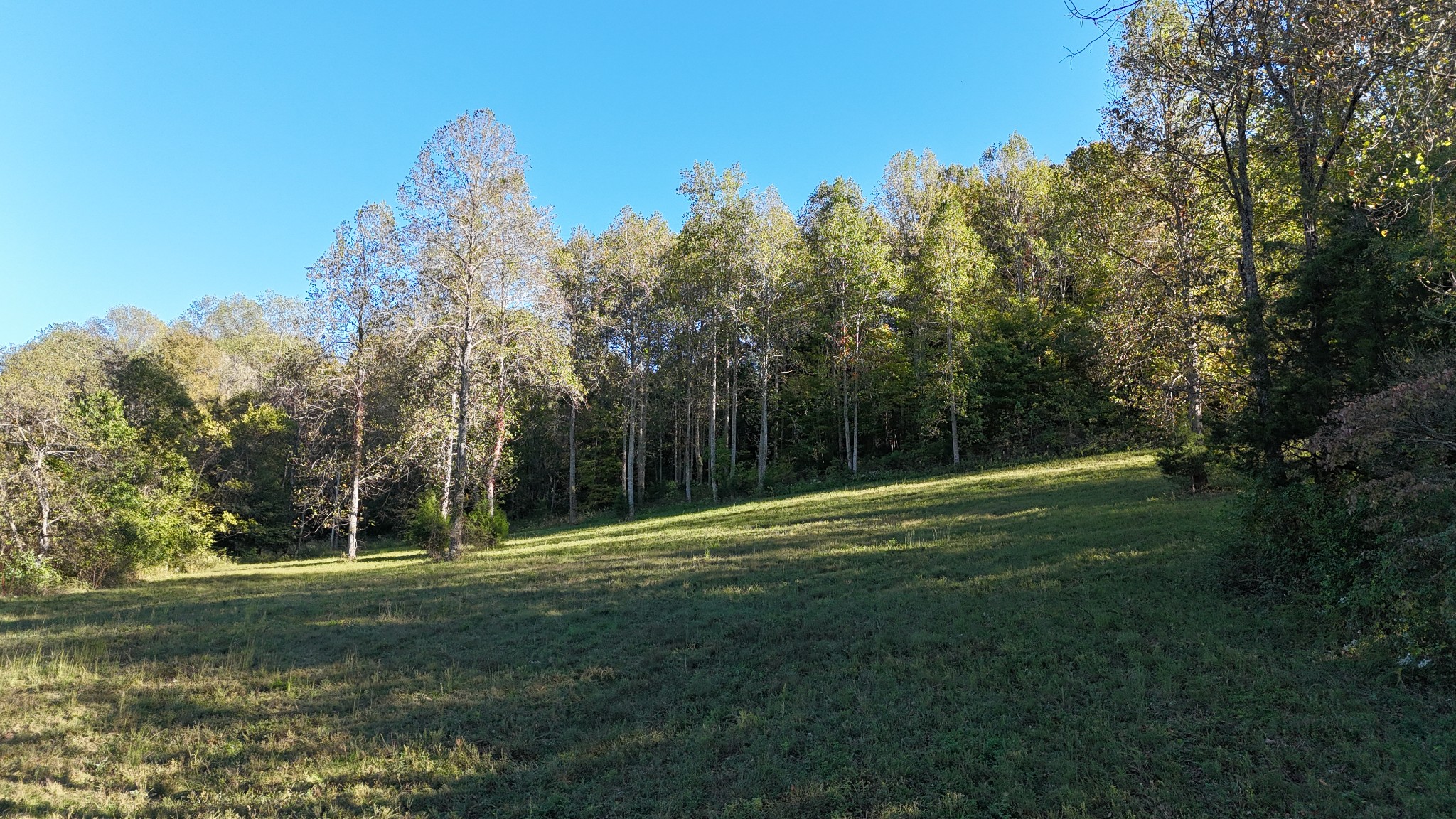 0 Akin Ridge Road Williamsport, TN 38487 - Photo 2 of 25 Gallery Image 2