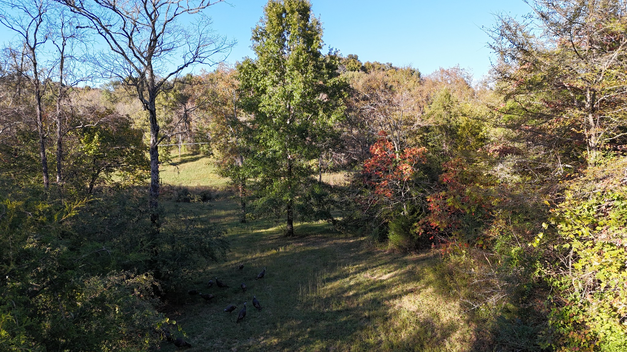0 Akin Ridge Road Williamsport, TN 38487 - Photo 3 of 25 Gallery Image 3