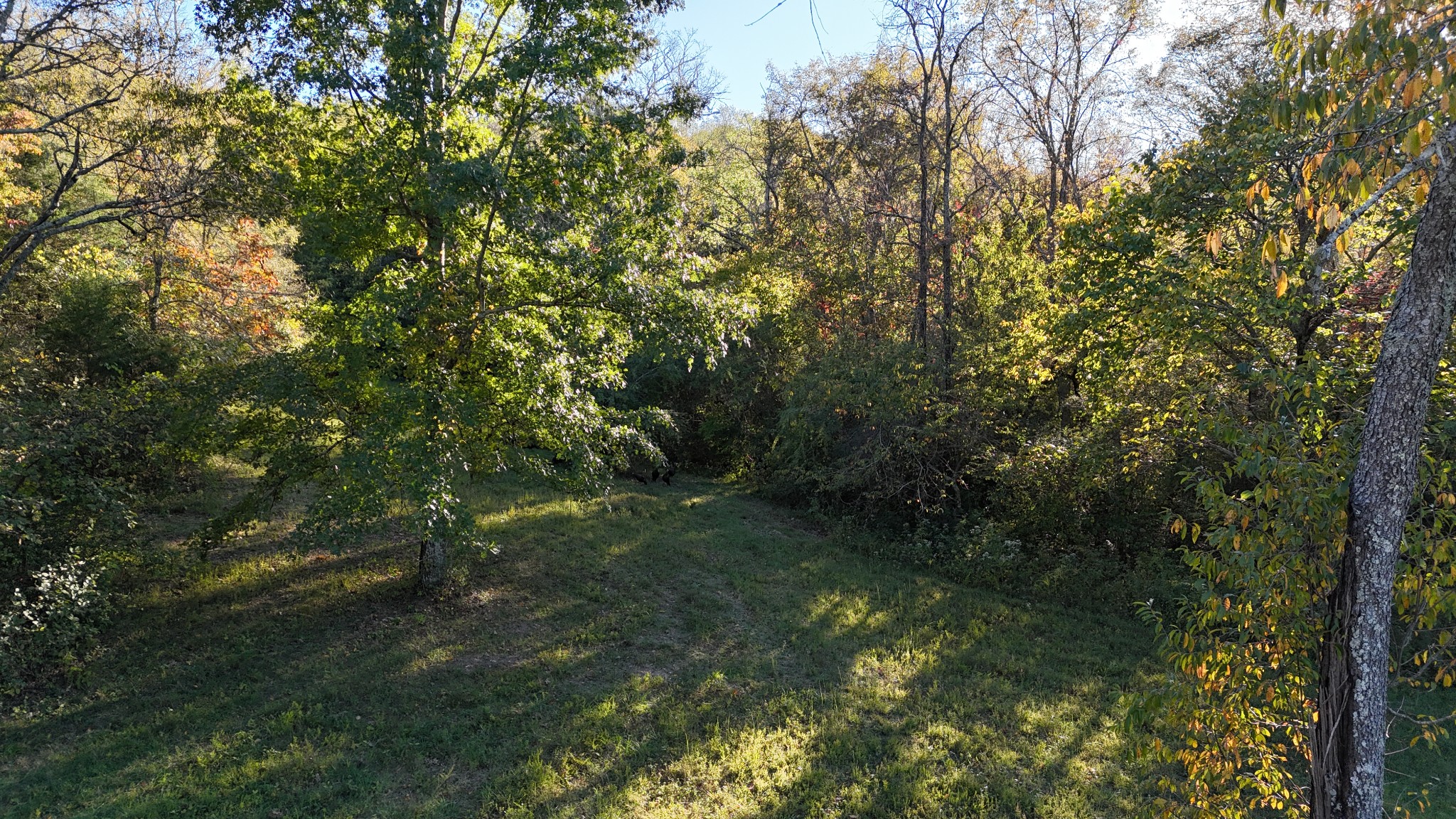 0 Akin Ridge Road Williamsport, TN 38487 - Photo 4 of 25 Gallery Image 4