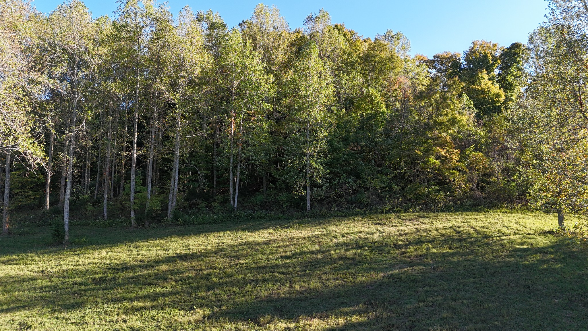 0 Akin Ridge Road Williamsport, TN 38487 - Photo 9 of 25 Gallery Image 9
