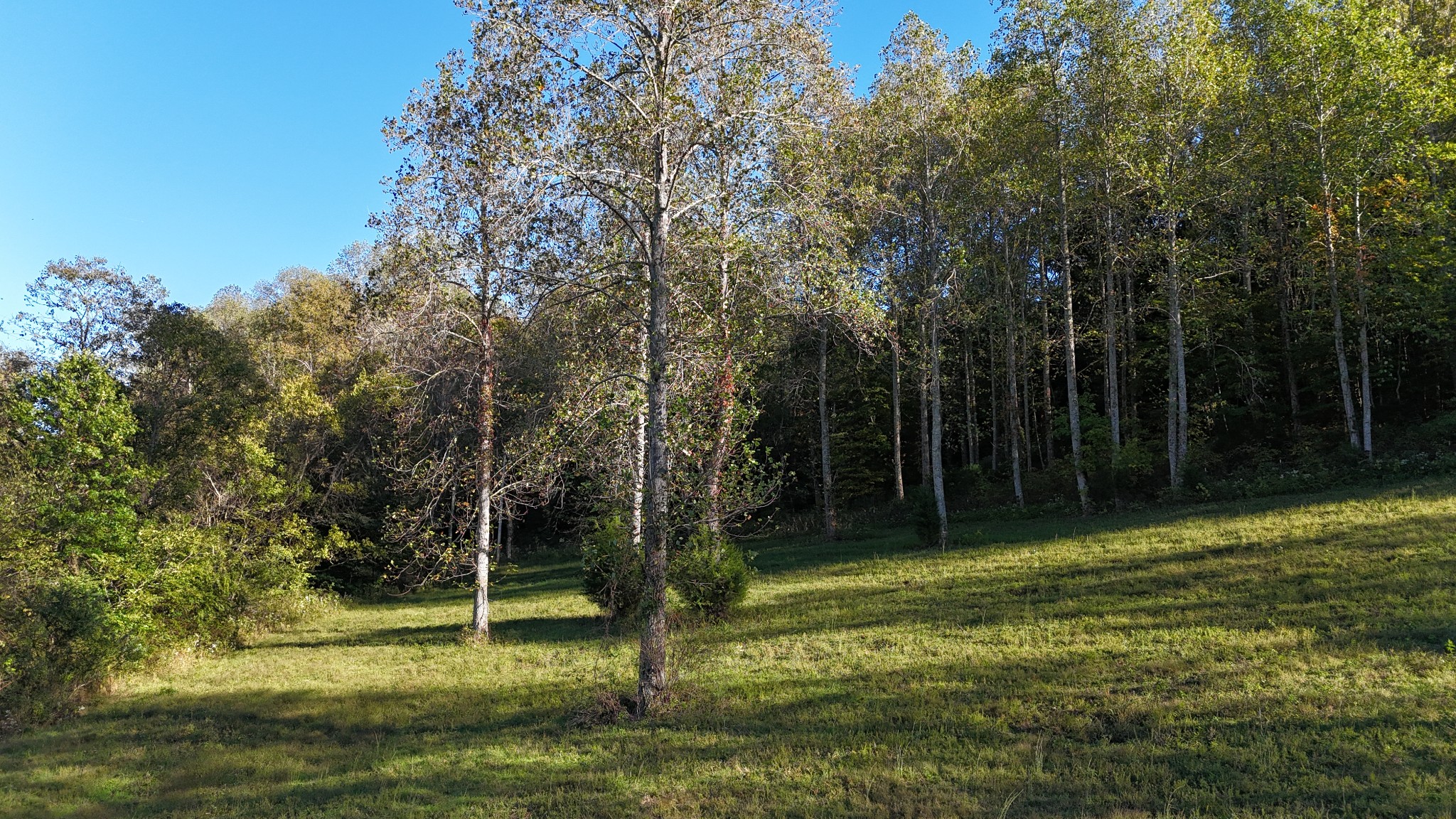 0 Akin Ridge Road Williamsport, TN 38487 - Photo 10 of 25 Gallery Image 10