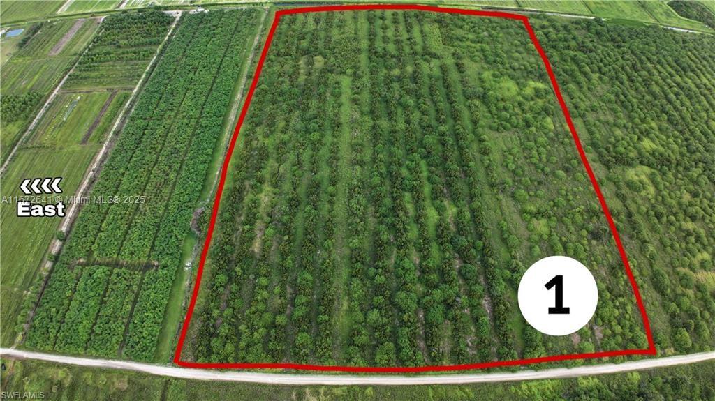 a view of a yard with plants and wooden fence