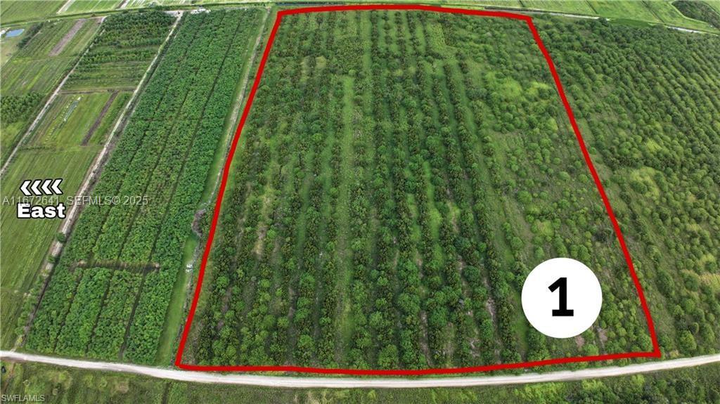 a view of a yard with plants and wooden fence