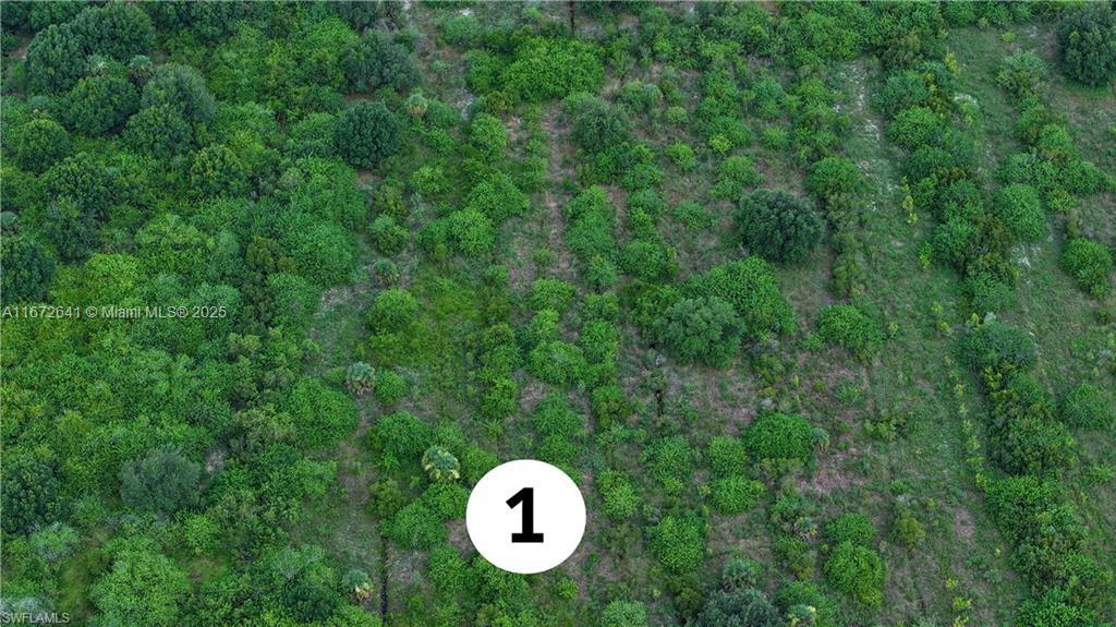 0 2nd Road LaBelle, FL 33935 - Photo 4 of 7 a view of a house with a backyard and a forest